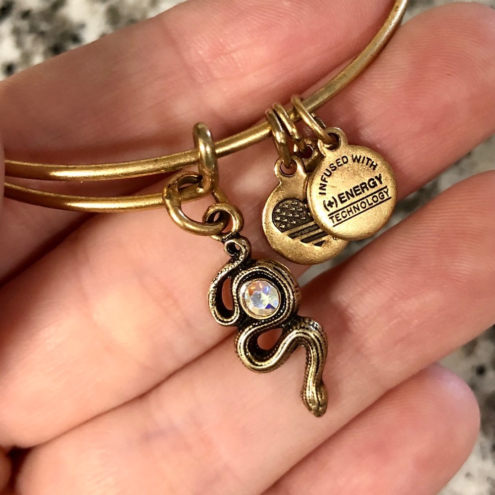 Alex and Ani snake gem charm bracelet